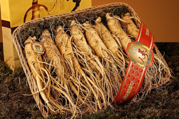 Ginseng: Uma Erva Milenar para Saúde e Vitalidade